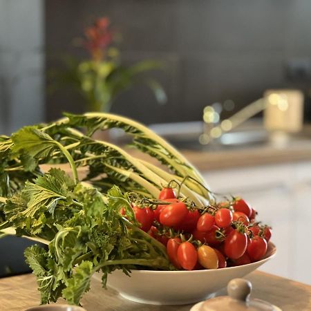 Family Inn San Maurizio Canavese Eksteriør bilde